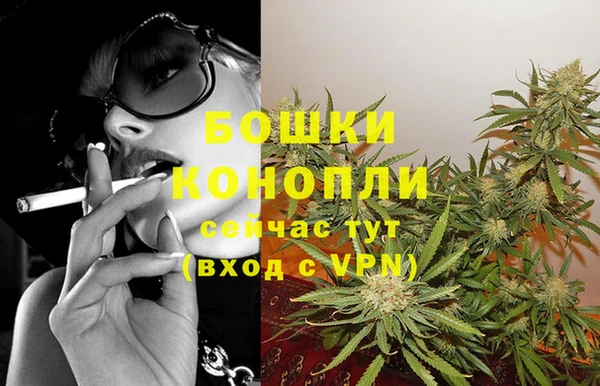 ПСИЛОЦИБИНОВЫЕ ГРИБЫ Горнозаводск