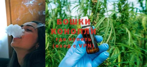 ПСИЛОЦИБИНОВЫЕ ГРИБЫ Горнозаводск