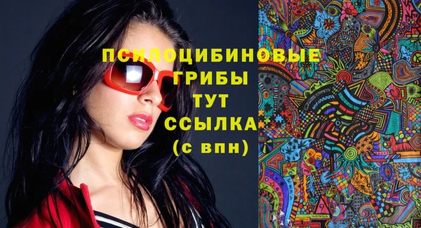 ПСИЛОЦИБИНОВЫЕ ГРИБЫ Горнозаводск